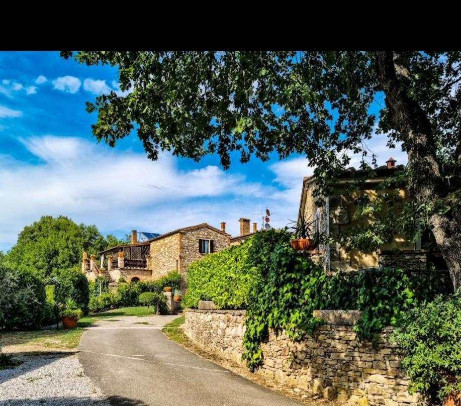 Agriturismo Podere Poggiarone Rapolano Terme Exteriér fotografie